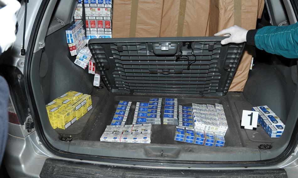 2010-11-11-1449foto 7.jpg